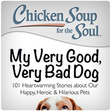 Chicken Soup for the Soul: My Very Good, Very Bad Dog