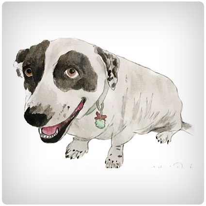 Custom Watercolor Pet Painting