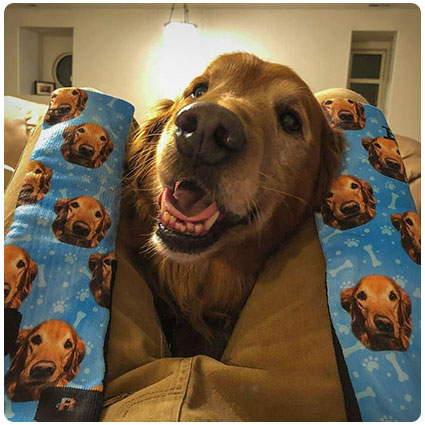 Customized Dog Socks