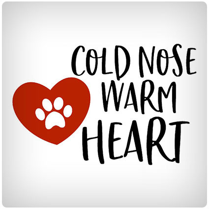 Diy Cold Nose Warm Heart Download