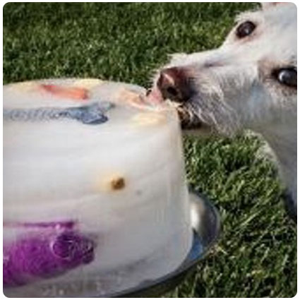 Diy Doggy Ice Lick with Toys