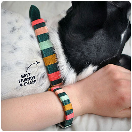 Diy Friendship Bracelet Matching Collar and Bracelet