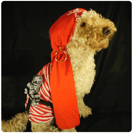 Diy No-Sew Pirate Dog Costume