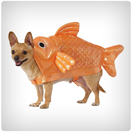 Gold Fish Dog Costume