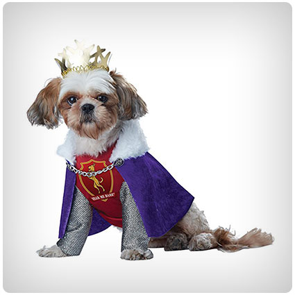 King of Bones Dog Costume