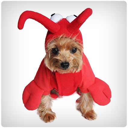 Lobster Hoodie Costume