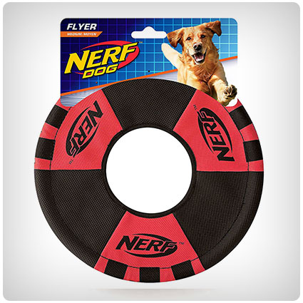 Nerf Dog Trackshot Toss and Tug Ring