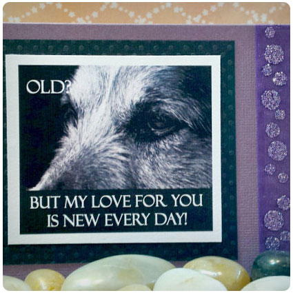 Old? But My Love For You Is New Greeting Card