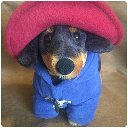 Paddington Bear Inspired Dog Costume