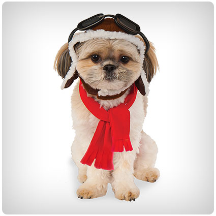 Pet Aviator Hat and Scarf Set