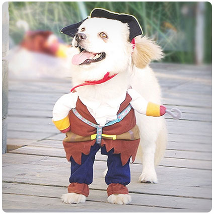 Pirates of the Caribbean Costume