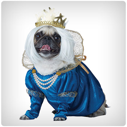 Queen of Bones Dog Costume