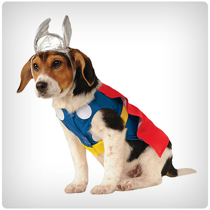 Rubies Costume Company Thor Pet Costume