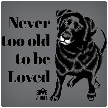 T-shirt Senior Old Dog