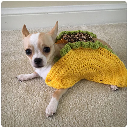 Taco Pet Costume