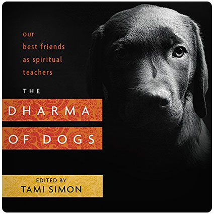 The Dharma of Dogs: Our Best Friends as Spiritual Teachers