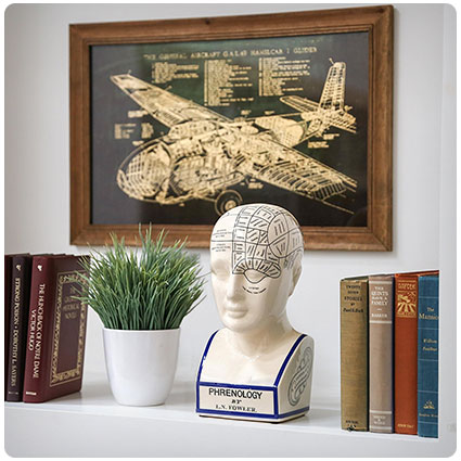 Urban Trends Ceramic Phrenology Head Bust