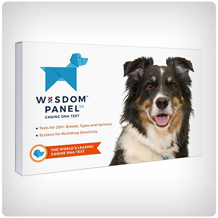 Wisdom Panel Breed Identification DNA Test Kit