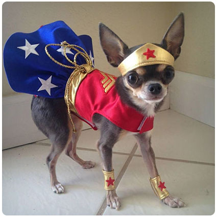 Wonder Woman Dog Costume