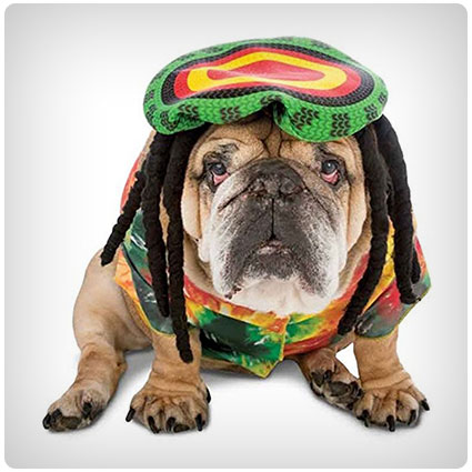 Zelda Wisdom Rasta Dog Costume