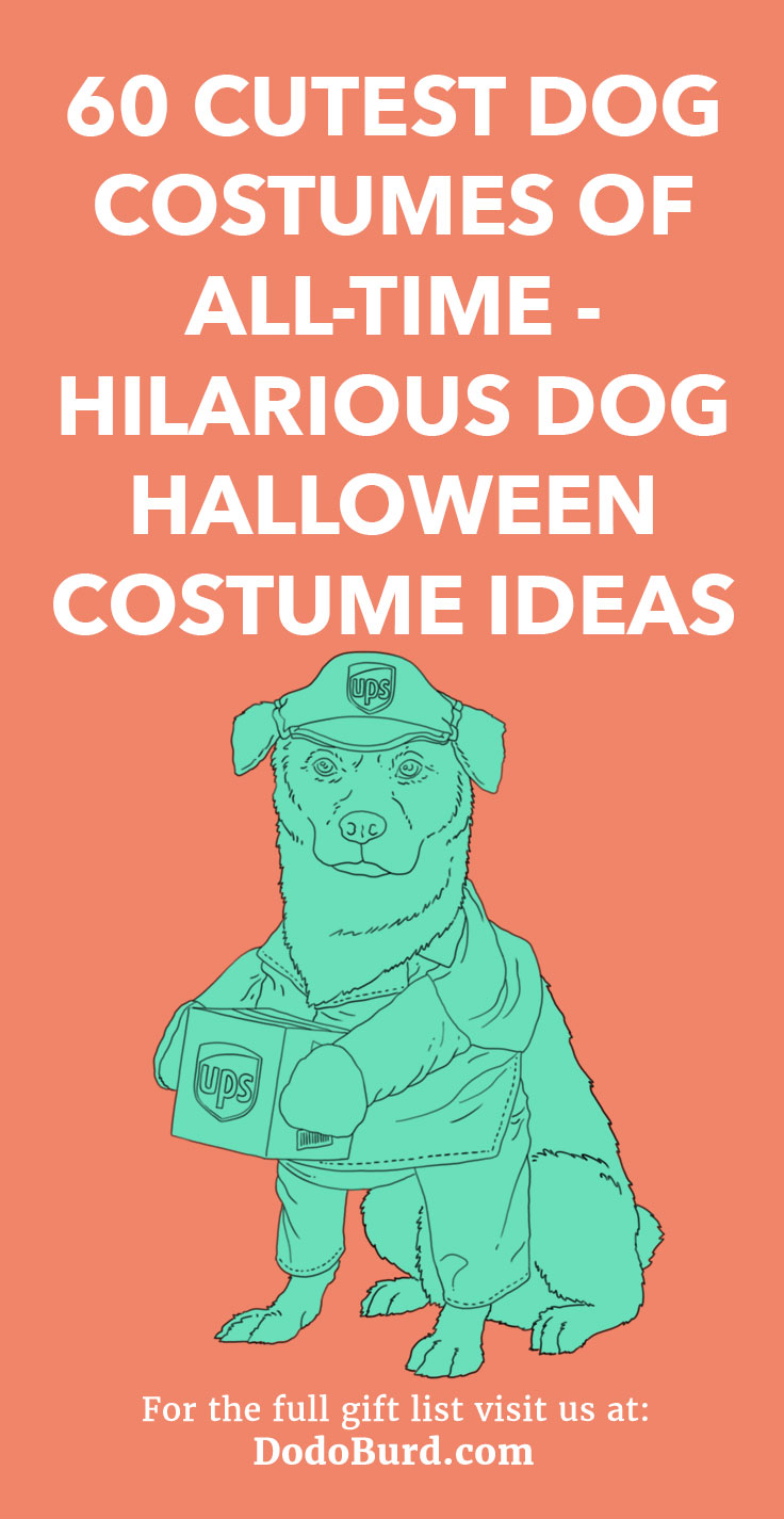 Whether it’s for Halloween or a photo shoot, you’ll find the perfect outfit in this list of dog costumes.