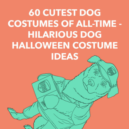 Dog Costumes