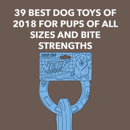 Dog Toys