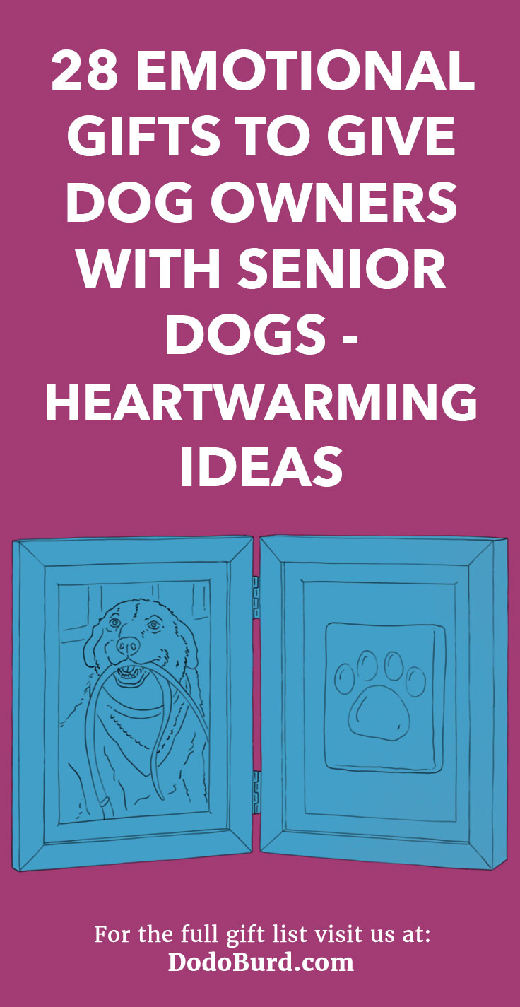 Senior dogs need love too, and that’s why we’ve written this list of adorable gifts for dog lovers, to help them capture and cherish those unforgettable moments with them.