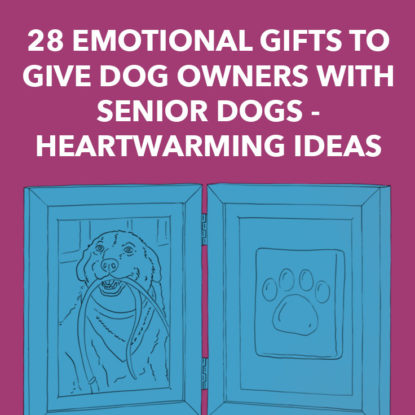 Senior Dog Gifts