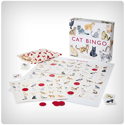 Cat Bingo