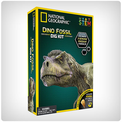 National Geographic Dinosaur Dig Kit