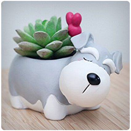 Schnauzer Succulent Vase